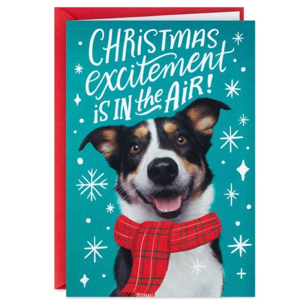 Hallmark “Christmas Excitement is in the Air!” Boxed Christmas Cards, Pack of 16